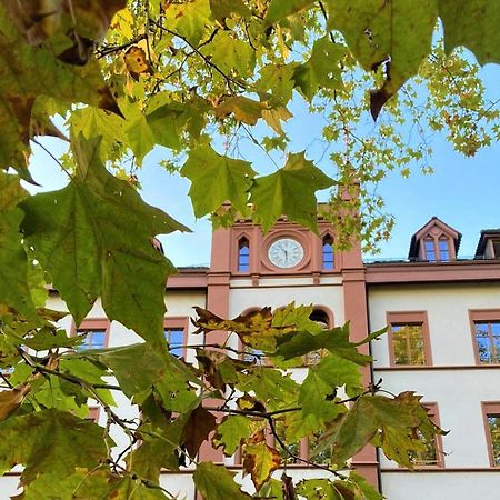 Odelya - Stadthotel Im Park Basel Dış mekan fotoğraf