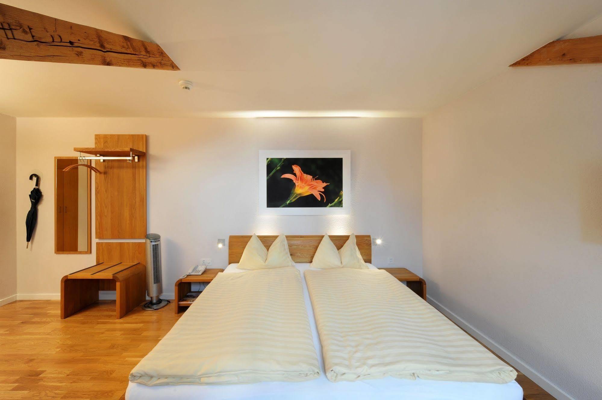 Odelya - Stadthotel Im Park Basel Dış mekan fotoğraf